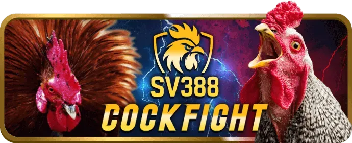 Mẹo chơi game bắn cá bet365 bet